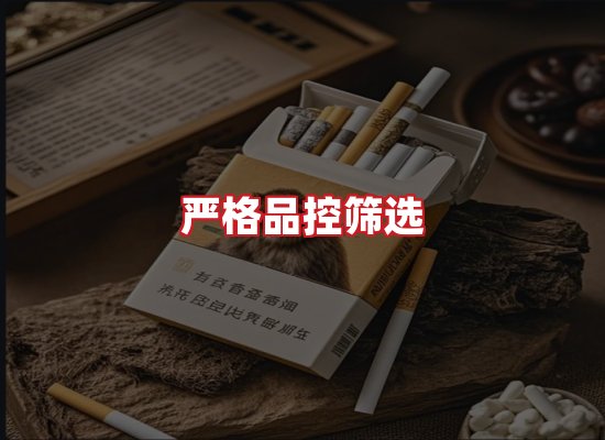 专业团队